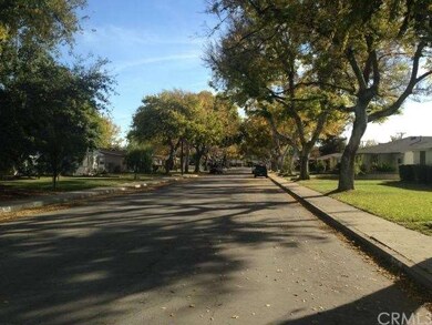 Beautiful Tree Lined Street