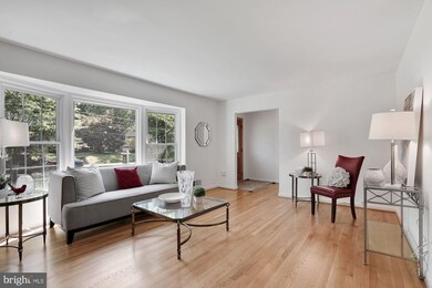 1013 Dalebrook Dr, Alexandria, VA 22308 - photo 5