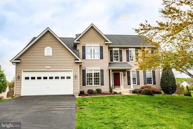 6902 Elon Dr, Fredericksburg, VA 22407 - photo 3