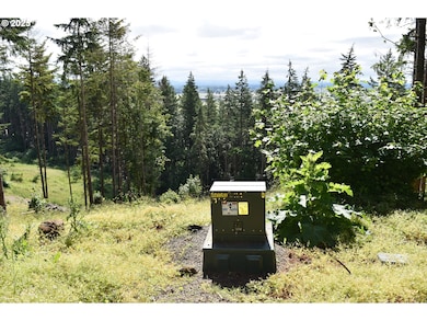 0 Scravel Hill Rd unit 281890226, Albany, OR 97322 - photo 4