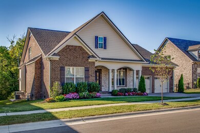 IRRIGATION SYSTEM FOR THE FRONT LAWN AND FLOWER BEDS