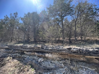 194 Table Rock Dr, Holiday Island, AR 72631 - photo 3