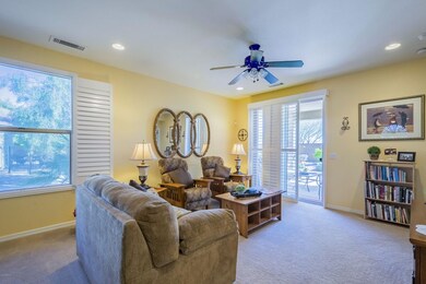 Great Room Shutters