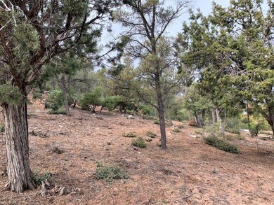 1102 Milk Ranch (11)