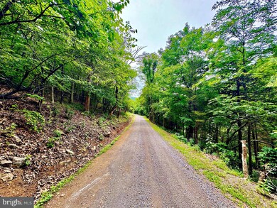 TBD Dumpling Run Rd, Moorefield, WV 26836 - photo 4