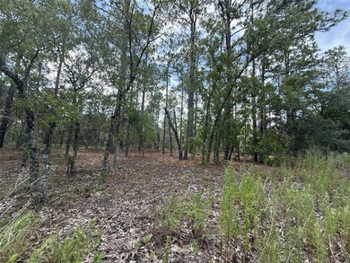 0 NW Tree Top Rd unit MFROK225311, Dunnellon, FL 34431 - photo 2