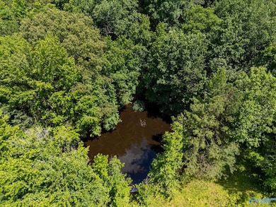 12368 Hickory Hills Rd, Athens, AL 35614 - photo 4