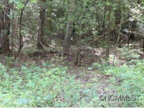 Lush, cool mountain homesite