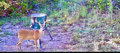 1200 Lipan Apache Run, Blanco, TX 78606 - photo 6