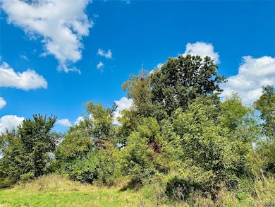 9810 Iosco Ridge Dr, Iosco Township, MI 48137 - photo 7