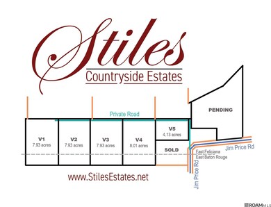 V2 Jim Price Rd, Clinton, LA 70722 - photo 2