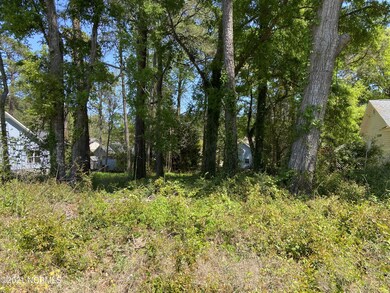 1021 High Point Ave SW, Calabash, NC 28467 - photo 3