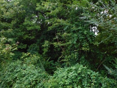 6 04ac Falling Water Rd, Cookeville, TN 38506 - photo 5