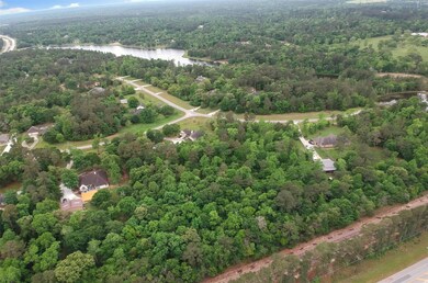 105 Ebner Lake Front Dr, Montgomery, TX 77316 - photo 4