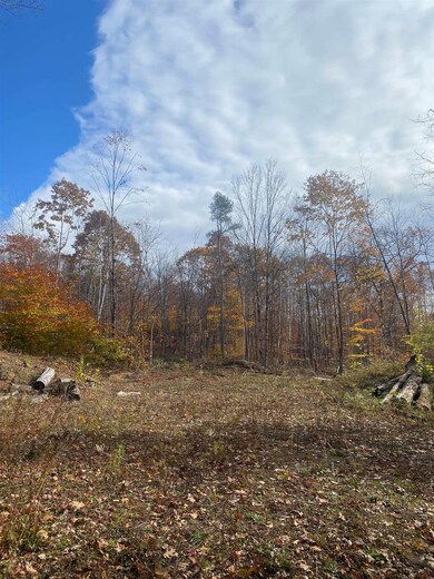 0 Colony Mine unit 4898845, Alstead, NH 03602 - photo 2