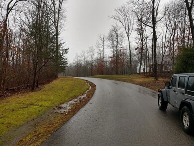 Mountain Laurel Ln 5 .png