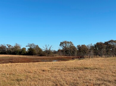 000 Fm 1653, Ben Wheeler, TX 75754 - photo 5