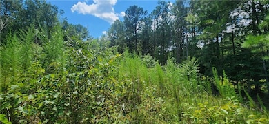 1318 Golden Way, Loganville, GA 30052 - photo 7