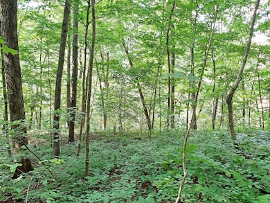 815 Days Run Rd, Fairview, WV 26570 - photo 6