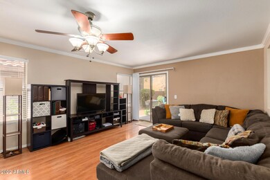 Laminate Floors
