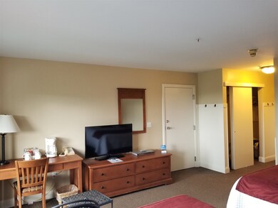 163/65 Qtr.1,89 Grand Summit Way, Dover, VT 05356 - photo 4