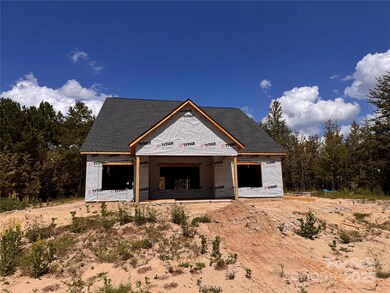 3065 Meadowcrest Dr unit 25, Clover, SC 29710 - photo 5