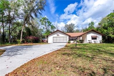 Long driveway with plenty of room to turn around