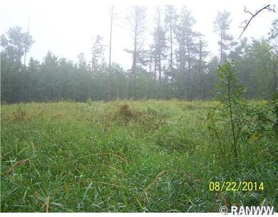 0 N 7th St, Weyerhaeuser, WI 54895 - photo 4