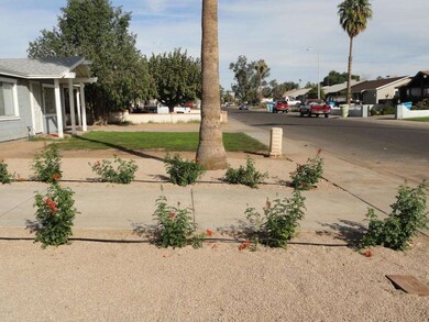New front yard plants