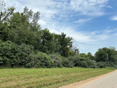 0002 Red Hills Ln, Bridgeport, IL 62417 - photo 6