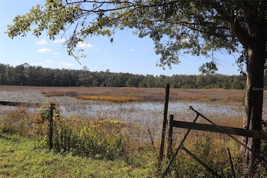 14150 NE 110th Avenue Rd, Fort Mc Coy, FL 32134 - photo 5