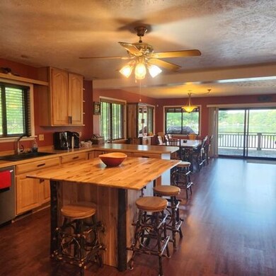 11973 N Lake St, Bitely, MI 49309 - photo 7