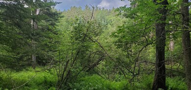 000 Bobbin Mill Rd, Lyman, NH 03585 - photo 2
