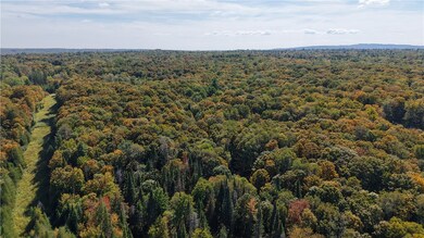 78 Culver Brook Rd, Boonville, NY 13309 - photo 4