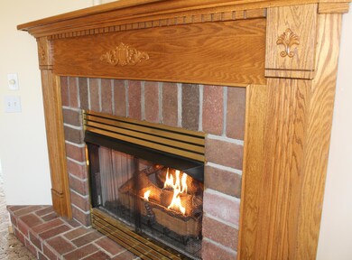 Gas-log fireplace
