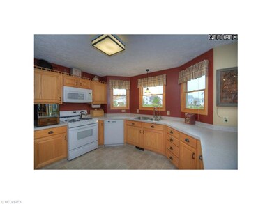 Kitchen View 2 - this view highlights the abundanc