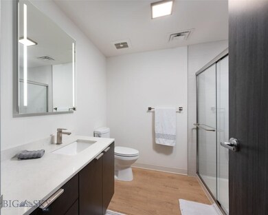 718 W Babcock St unit 204, Bozeman, MT 59715 - photo 4