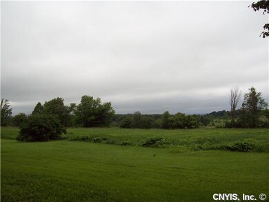Land Rolling Meadow with some trees