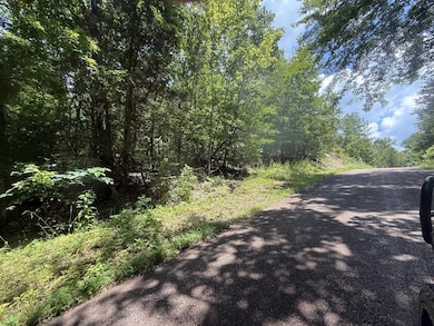 TRACT 5 Cherry Chapel Loop, Savannah, TN 38372 - photo 6