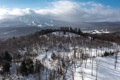 74 Upper Taylor Hill Rd, Winhall, VT 05340 - photo 6