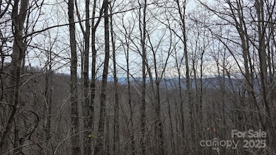402 High Hickory Trail unit 51, Swannanoa, NC 28778 - photo 2