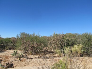 old spanish trail 004