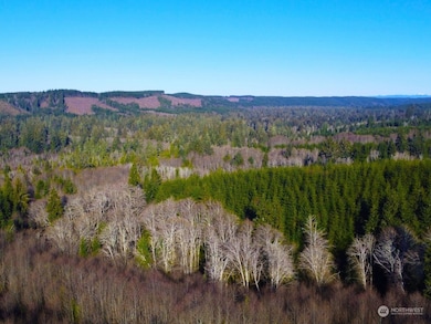 0 Sanderling (Lot 2) Dr, Hoquiam, WA 98550 - photo 3