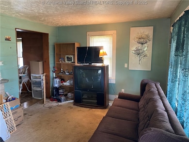 1181 Cabin Ridge Rd, Leon, WV 25123 - photo 7