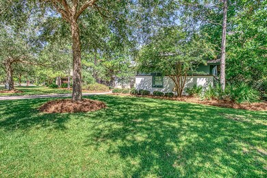 1307 Salamander Trail Panama-021-064-723