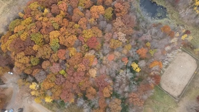 View overhead directly over the subject 10 acre lot which