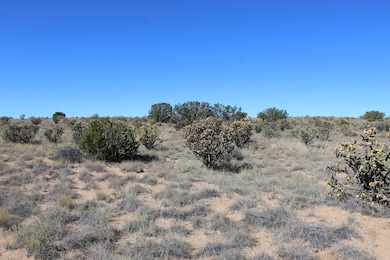 0 51st Ave NW unit 1094048, Rio Rancho, NM 87144 - photo 3