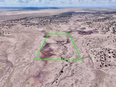 Tbd N6120, Saint Johns, AZ 85936 - photo 4