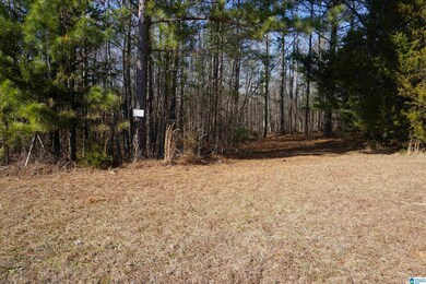 0 County Road 256 unit 1 1309740, Wedowee, AL 36278 - photo 3
