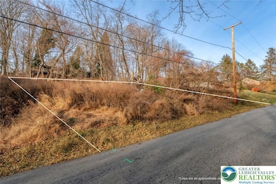 0 Spengler Ave, Chestnut Hill, PA 18040 - photo 5